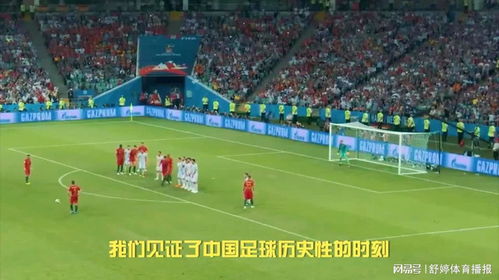 2010年南非足球世界杯冠军，西班牙的辉煌时刻